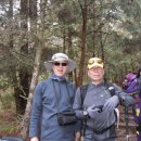 무릉농장 이미지