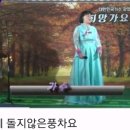 가수. 박순례. 돌지않는풍차 이미지