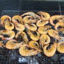 승기농장 이미지