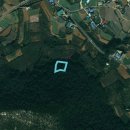 녹지부동산공인중개사사무소 이미지