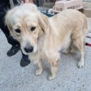 양산대로 이미지