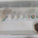 청아농장 이미지