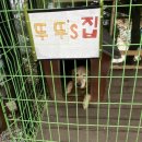 오리랜드 이미지