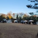 여주 마조렐글램핑리조트 이미지