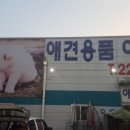 펫마트 중리점 | 오정동펫마트 본점 방문후기