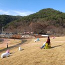 칠갑산 목장 이미지