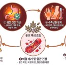 참옻피아