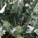 윤우농장 이미지