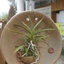 한누리워낭마을 이미지