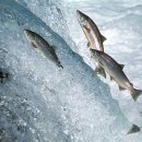 아띠의원 이미지