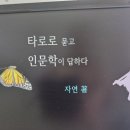 동구로초등학교 이미지