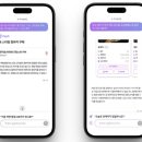 헤이디