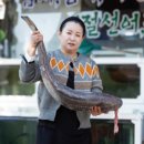 어선횟집 이미지