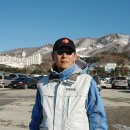 알프스투어 Daum카페