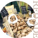 현호농원 이미지