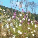 연희네집 이미지