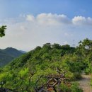 2021-주165 이미지