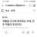 개물림사고 견주처벌이 우선이다 이미지