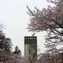 충남대학교 학생생활관 이미지