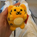 바른케이(K)치과의원 | 송파역 서울바른경치과 리뷰, 드디어 찾은 인생 치과!(ft. 15년 치과 유목민 정착!) - 사랑니 발치후기