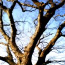 화개농장 이미지