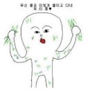 아름다울미 이미지