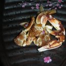 식당 고미 Daum카페