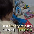 자연관찰 전집 추천 ! 그레이트북스 놀라운자연 ( 20개월까지 후기 )