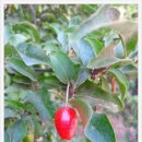 쩡이네보물창고 이미지