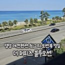 더퍼피즈블루오션 이미지