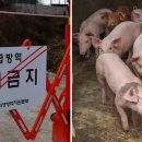 김정욱농장 이미지