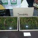 조산영농조합법인 이미지