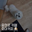 청파로 | 충정로 카페 l 호미커피 메뉴 및 강아지 덕질 후기