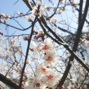 정읍농장 이미지