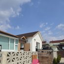 가정견1회분양 | 동탄말티푸분양 가정견 장군이와 인연시작