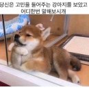 취향가득 나만의 향수 & 미니 룸스프레이 만들기 B | [대구 남구] 나만의 소중한 향기를 만들어 내는 &#34;유딘크엘&#34; 솔직후기!