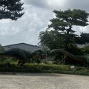 세바퀴식당 - 창원시 성산구 사파동 | [남양주] 경기도 실내 아이랑 가볼만한 곳 | 덕소 자연사박물관 공룡전시관 후기