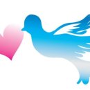 나비야 스튜디오 이미지