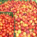 그린DC마트 이미지