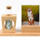 반려동물 이동서비스 이미지