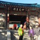 디딤돌농장 이미지