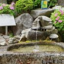 신도연못 옆 이미지