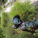 부영농원 이미지