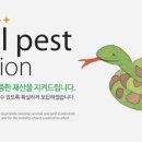 밤실로2 이미지