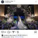 디데이 호텔 | W4. 본식 서브스냅 레코드디데이 예약후기(짝꿍마감)