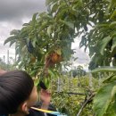 도라산농장 이미지