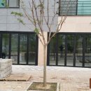 제이제이머스트 이미지