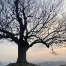 떡사랑방앗간 - 포항시 남구 세계길 36 | 떡사랑방앗간
