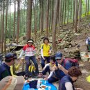 상관 공기마을 편백숲 이미지