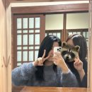 뚜뚜이네 바느질공장 이미지